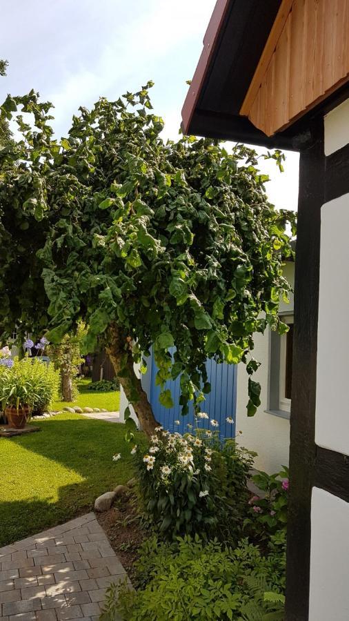 Das Fachwerkhaeuschen Bad Pyrmont Dış mekan fotoğraf